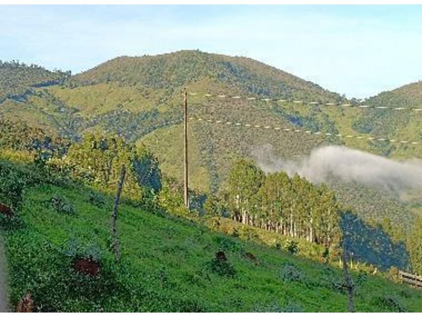 Imagem 12 do Leilão de Área Rural - Zona Rural - Baependi/MG