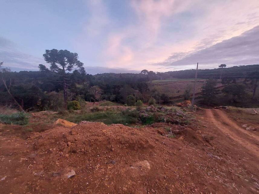 Imagem 6 do Leilão de Terreno - Centro - Frei Rogério/SC