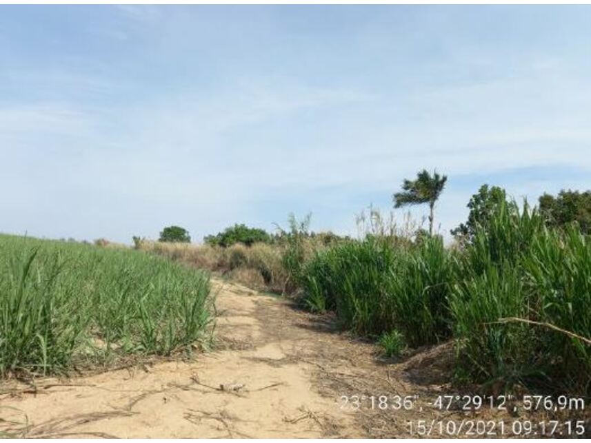 Imagem 7 do Leilão de Área Rural - Zona Rural - Porto Feliz/SP
