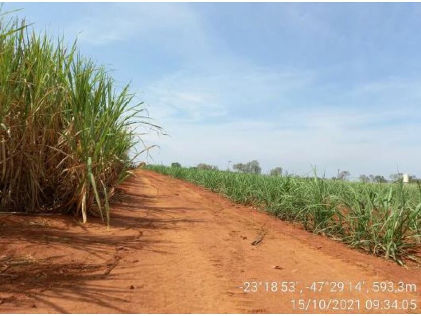 Imagem 21 do Leilão de Área Rural - Zona Rural - Porto Feliz/SP