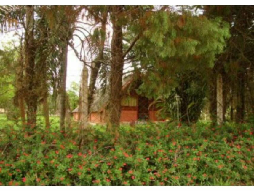 Imagem 5 do Leilão de Área Rural - Alpes das Águas - São Pedro/SP