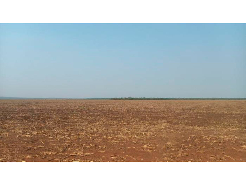 Imagem 12 do Leilão de Área Rural - Data Chupé Zona Rural - Sambaíba/MA