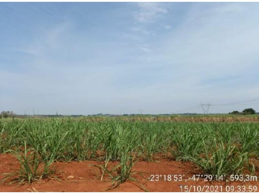 Imagem 20 do Leilão de Área Rural - Zona Rural - Porto Feliz/SP