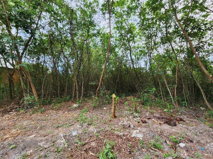 Imagem 3 do Leilão de Terreno - Recreio dos Bandeirantes - Rio de Janeiro/RJ