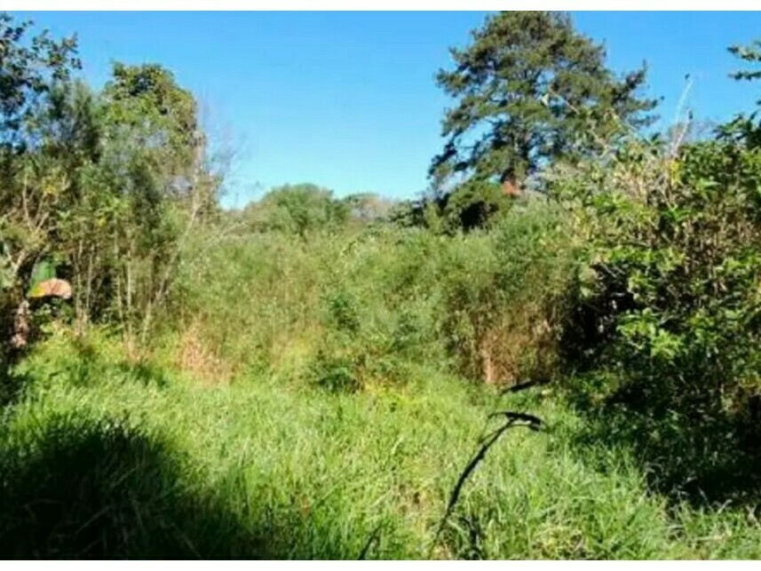 Imagem 6 do Leilão de Terreno - Aldeinha - Itapecerica da Serra/SP