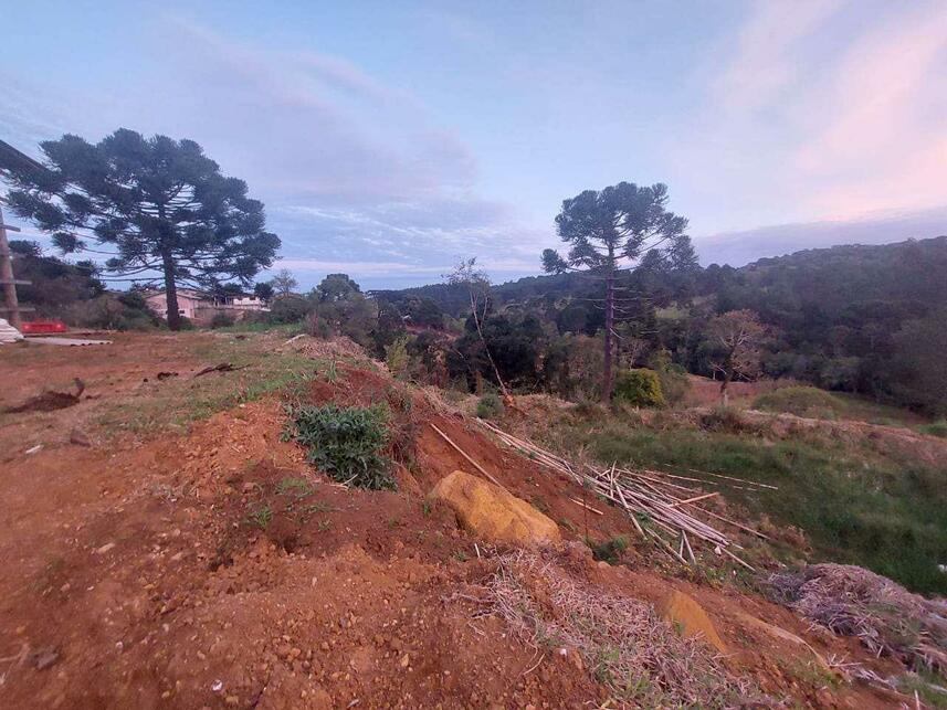 Imagem 8 do Leilão de Terreno - Centro - Frei Rogério/SC