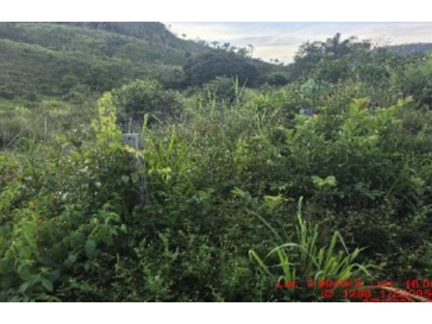 Imagem do Leilão de Área Rural - Zona Rural - Alto Alegre do Pindaré/MA