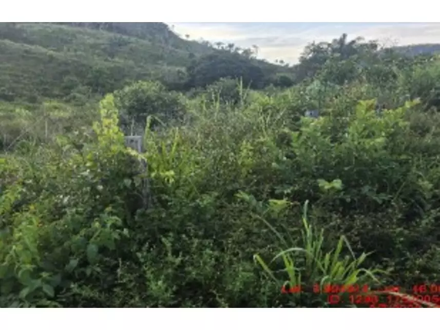 Área Rural à venda em leilão - leilão extrajudicial - Alto Alegre do Pindaré MA - lance mínimo R$ 495.000