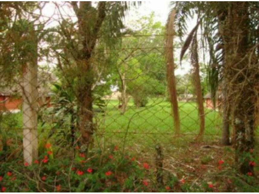 Imagem 4 do Leilão de Área Rural - Alpes das Águas - São Pedro/SP