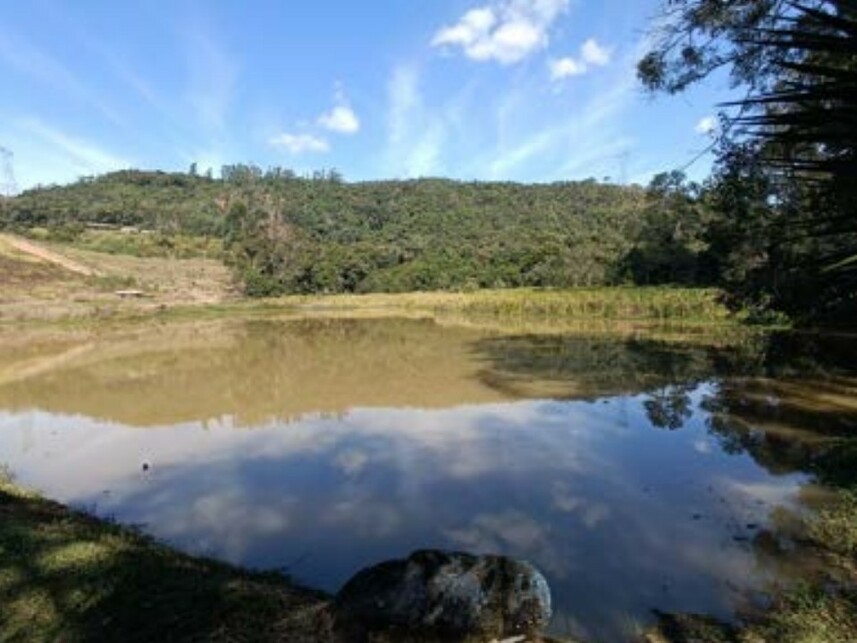 Imagem 13 do Leilão de Sítio - Pirapora - Piedade/SP