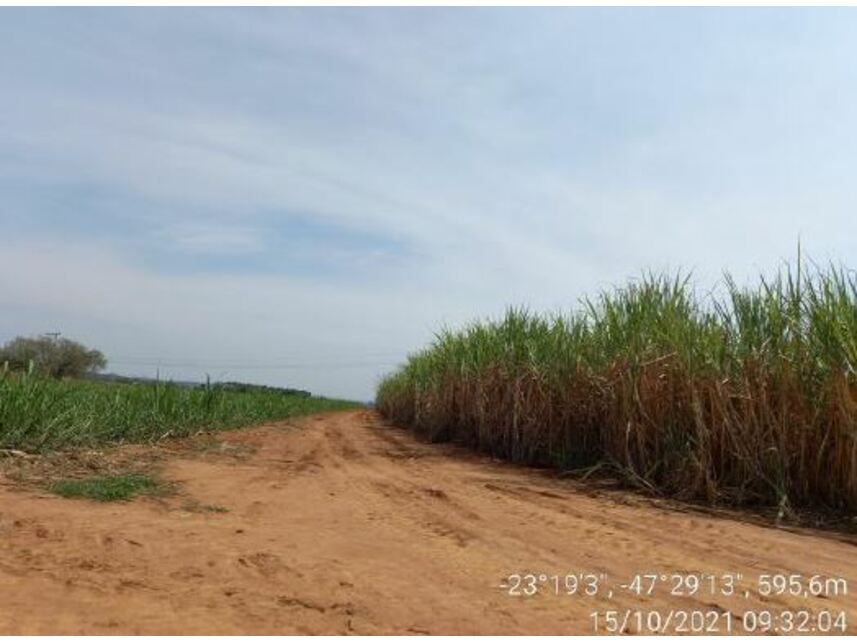 Imagem 17 do Leilão de Área Rural - Zona Rural - Porto Feliz/SP