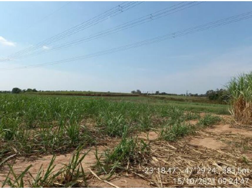 Imagem 11 do Leilão de Área Rural - Zona Rural - Porto Feliz/SP