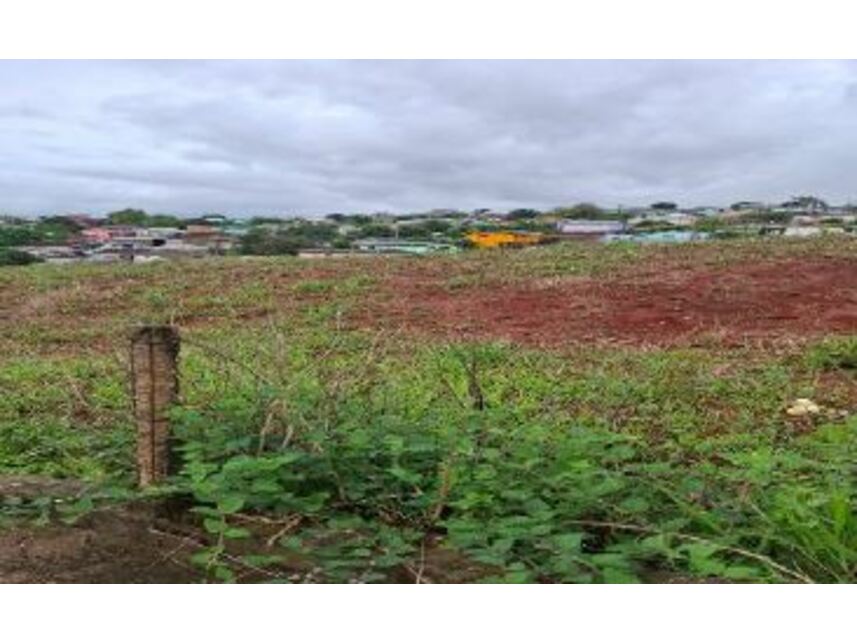 Imagem 3 do Leilão de Terrenos - Vista Alegre - Palmeira das Missões/RS