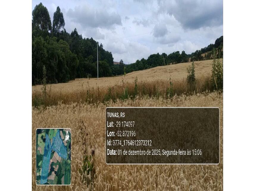 Imagem 28 do Leilão de Área Rural - Zona Rural - Tunas/RS