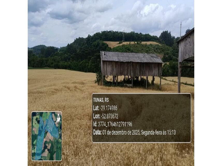 Imagem 25 do Leilão de Área Rural - Zona Rural - Tunas/RS
