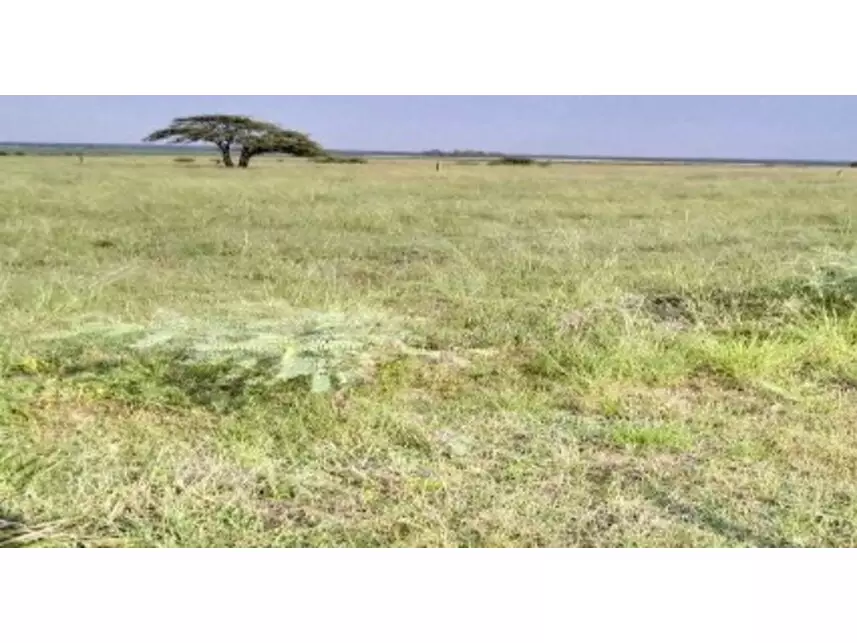 Área Rural à venda em leilão - leilão extrajudicial - Uruguaiana RS - lance mínimo R$ 309.000