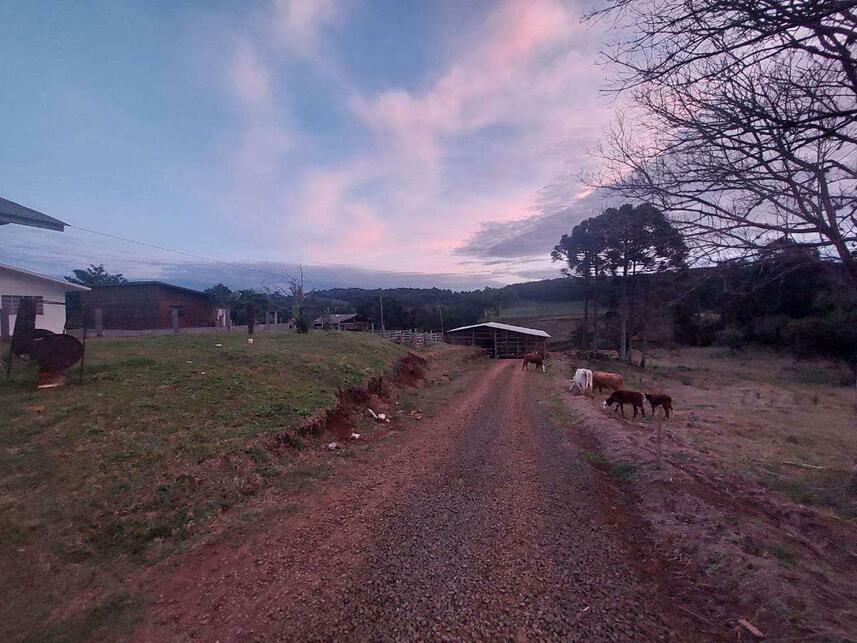 Imagem 9 do Leilão de Terreno - Centro - Frei Rogério/SC