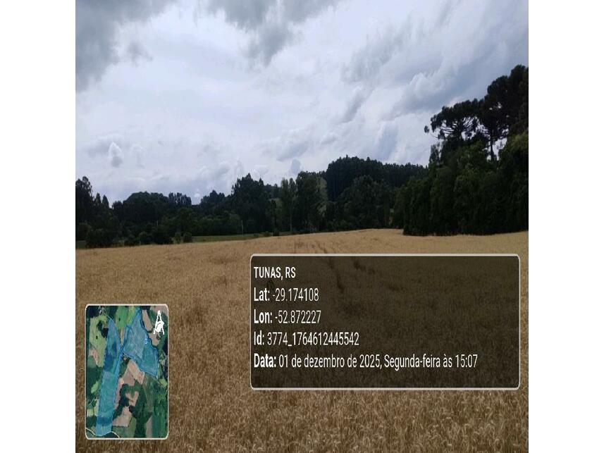 Imagem 7 do Leilão de Área Rural - Zona Rural - Tunas/RS