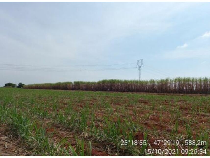 Imagem 15 do Leilão de Área Rural - Zona Rural - Porto Feliz/SP