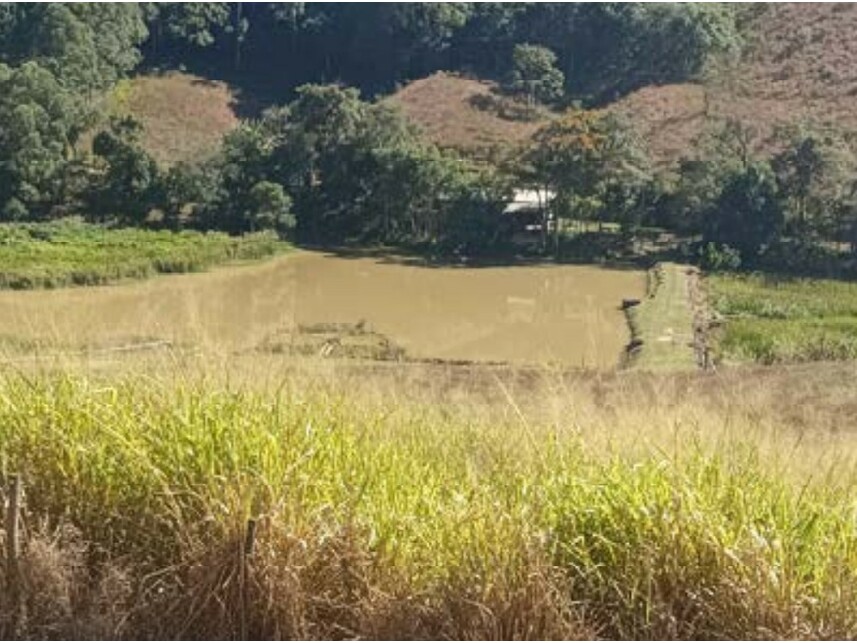 Imagem 2 do Leilão de Sítio - Pirapora - Piedade/SP