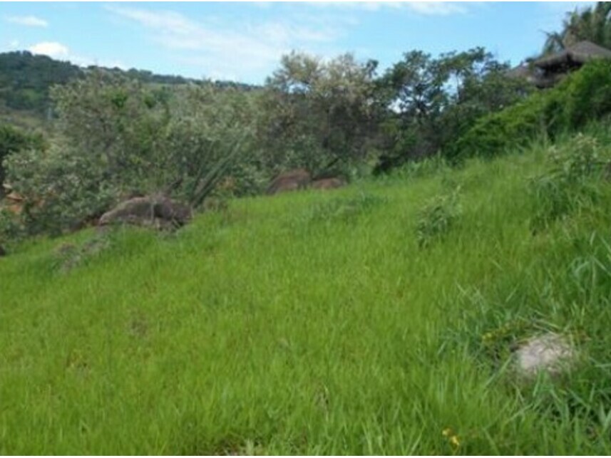 Imagem 12 do Leilão de Terreno - Veneza - Valinhos/SP