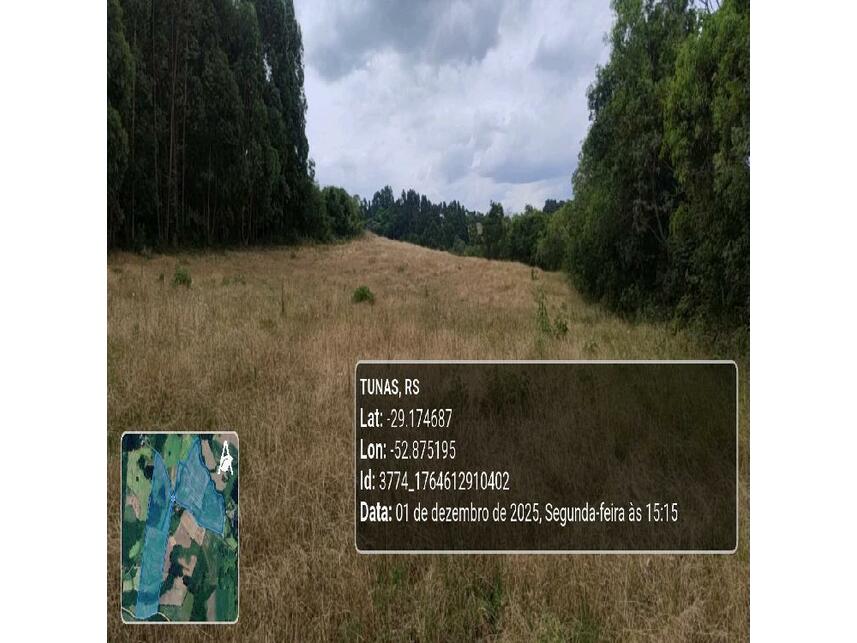 Imagem 10 do Leilão de Área Rural - Zona Rural - Tunas/RS