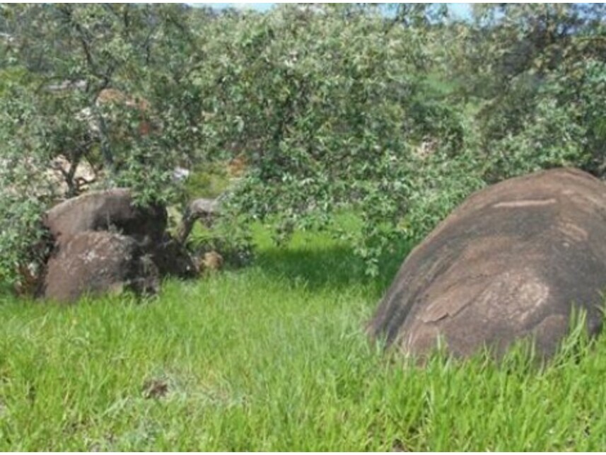Imagem 13 do Leilão de Terreno - Veneza - Valinhos/SP