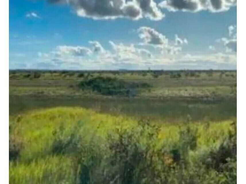 Imagem 4 do Leilão de Área Rural - Belmonte - Belmonte/BA