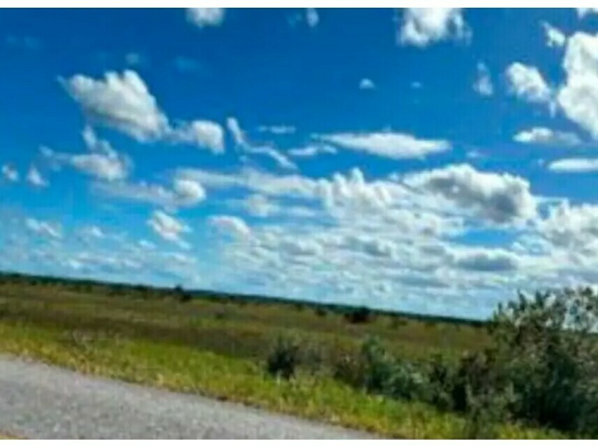 Imagem 3 do Leilão de Área Rural - Belmonte - Belmonte/BA