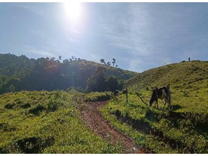 Imagem 11 do Leilão de Área Rural - Zona Rural - Baependi/MG