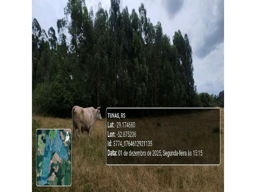 Imagem 14 do Leilão de Área Rural - Zona Rural - Tunas/RS