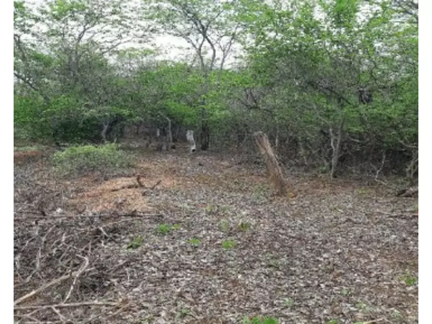 Área Rural à venda em leilão - leilão extrajudicial - Pedras de Maria da Cruz MG - lance mínimo R$ 2.268.598