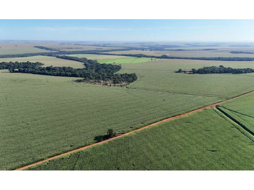 Imagem 5 do Leilão de Área Rural - Zona Rural - Rio Verde/GO