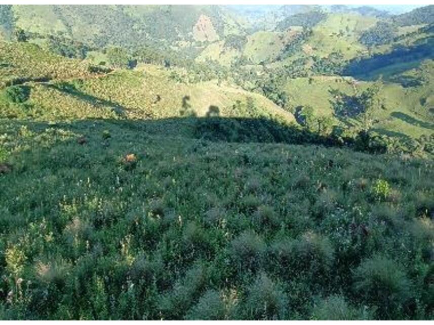 Imagem 7 do Leilão de Área Rural - Zona Rural - Baependi/MG