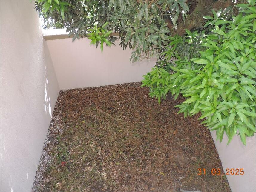 Imagem 21 do Leilão de Sobrado - Lapa - São Paulo/SP