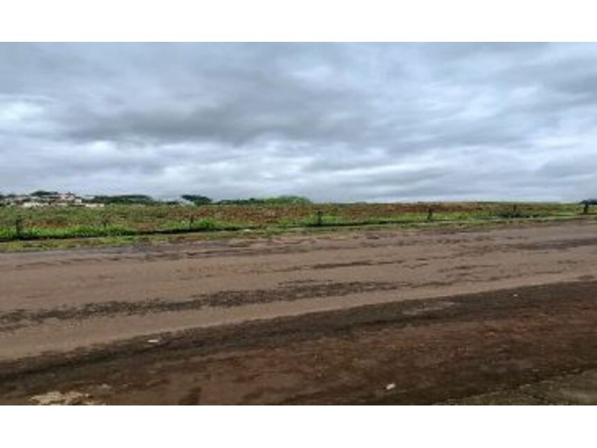 Imagem 2 do Leilão de Terrenos - Vista Alegre - Palmeira das Missões/RS