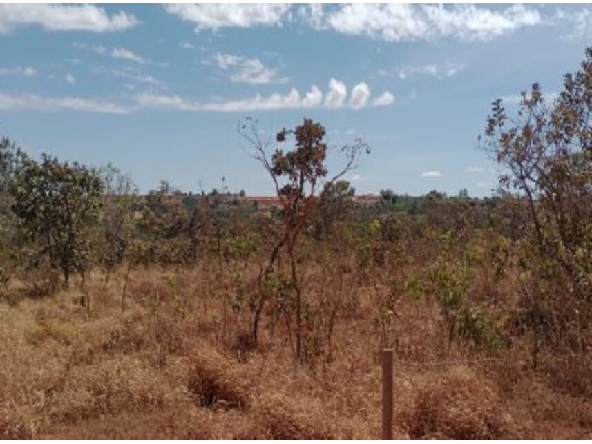 Imagem 4 do Leilão de Chácara - Setor Norte - Planaltina/GO