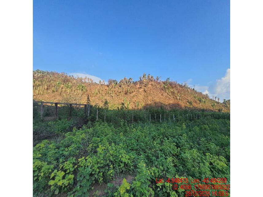 Imagem 6 do Leilão de Área Rural - Zona Rural - Paulo Ramos/MA