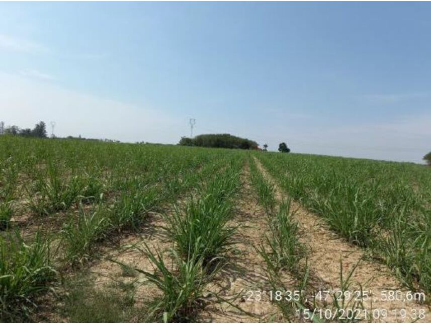 Imagem 10 do Leilão de Área Rural - Zona Rural - Porto Feliz/SP