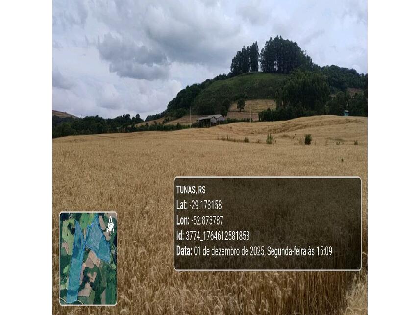 Imagem 24 do Leilão de Área Rural - Zona Rural - Tunas/RS