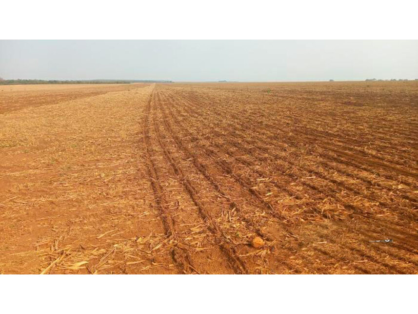 Imagem 8 do Leilão de Área Rural - Data Chupé Zona Rural - Sambaíba/MA