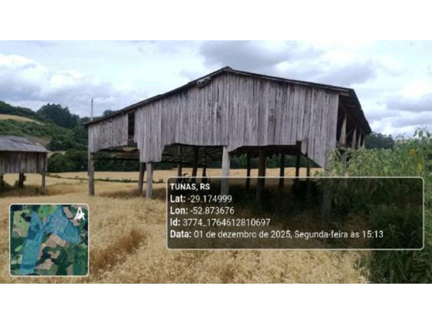 Imagem 30 do Leilão de Área Rural - Zona Rural - Tunas/RS