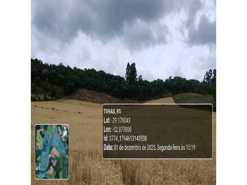 Imagem 16 do Leilão de Área Rural - Zona Rural - Tunas/RS