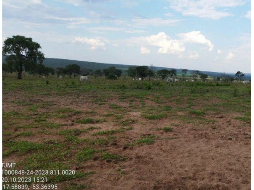 Imagem 4 do Leilão de Área Rural - Zona Rural - Alto Araguaia/MT