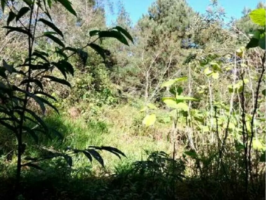 Imagem 3 do Leilão de Terreno - Aldeinha - Itapecerica da Serra/SP