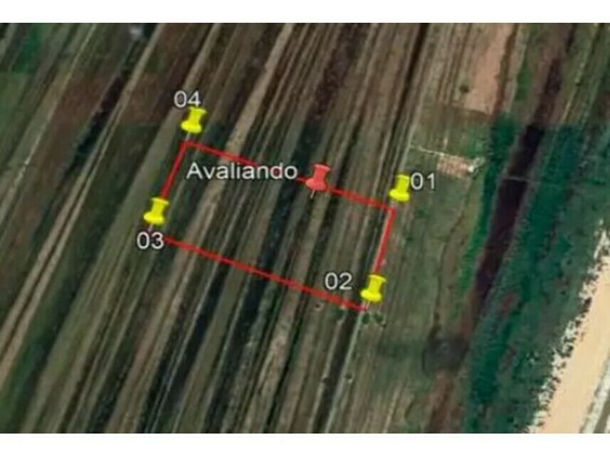 Imagem 8 do Leilão de Área Rural - Belmonte - Belmonte/BA