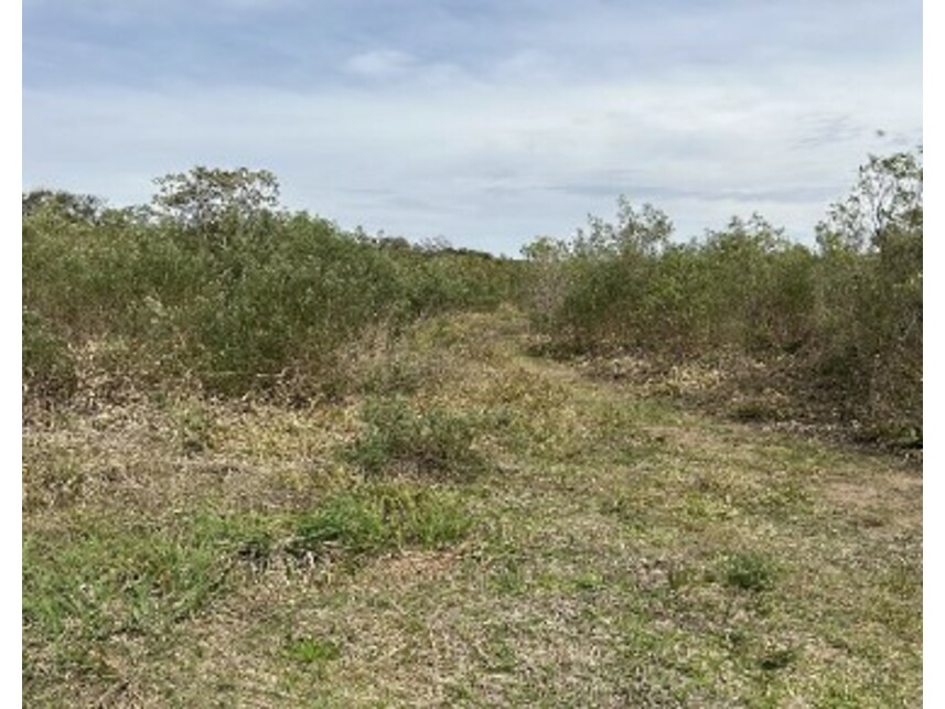 Imagem 2 do Leilão de Área Rural - Zona Rural - Rio Azul/PR