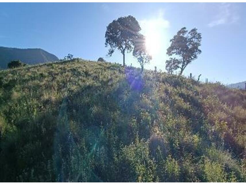 Imagem 5 do Leilão de Área Rural - Zona Rural - Baependi/MG
