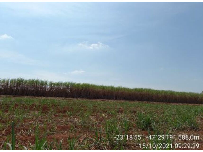Imagem 14 do Leilão de Área Rural - Zona Rural - Porto Feliz/SP