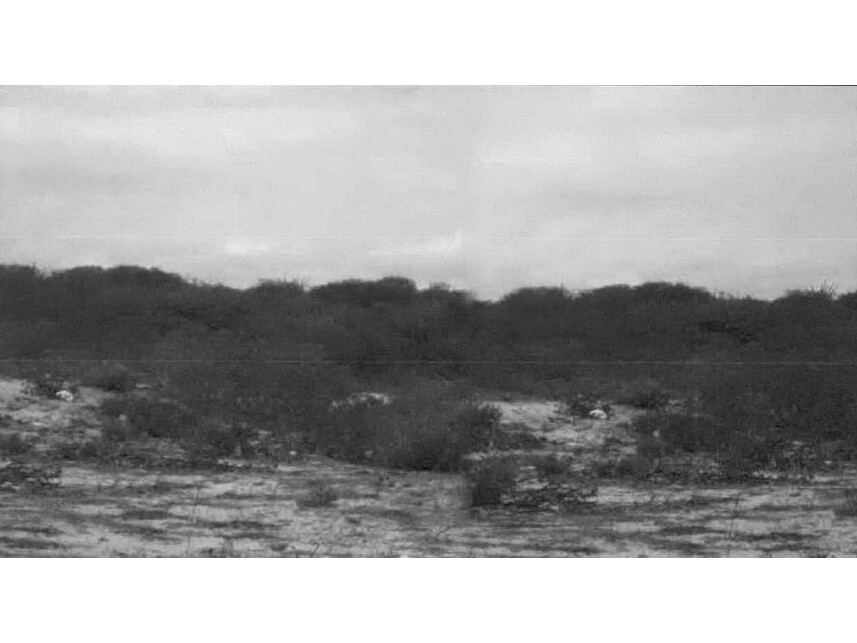 Imagem 3 do Leilão de Terreno - Entre as Vilas do Caponga e Balbino - Cascavel/CE